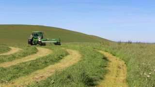 Les prairies naturelles sont sans surprise la ressource fourragère la moins coûteuse.