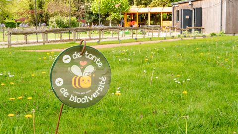 Le parc du végétal Terra Botanica, à Angers (49), a instauré en 2022 l’opération du « mois sans tonte » en mai. Le public est informé avec le slogan « - de tonte + de biodiversité »… Le parc du végétal Terra Botanica, à Angers (49), a instauré en 2022 l’opération du « mois sans tonte » en mai. Le public est informé avec le slogan « - de tonte + de biodiversité »…