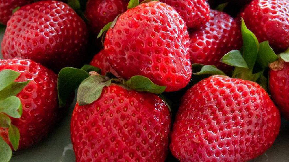 Une association environmentale allemande lance un appel au boycott des fraises espagnoles.