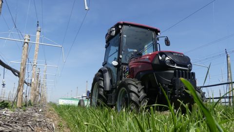 Le gabarit fruitier du Quantum 120 F de Case IH s’avère parfaitement adapté pour évoluer dans les 3 ha de kiwis. Le gabarit fruitier du Quantum 120 F de Case IH s’avère parfaitement adapté pour évoluer dans les 3 ha de kiwis.