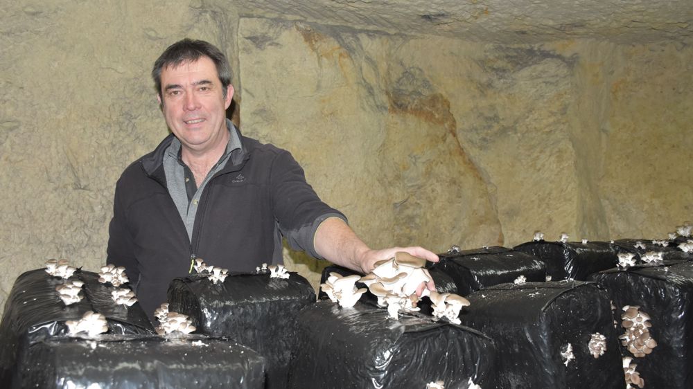 Ludovic Bernardet exploite deux salles de champignons en agriculture biologique dans les caves de Saint-Mars-la-Pile (Indre-et-Loire).