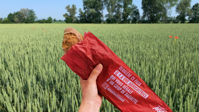 200 boulangeries distribueront des baguettes dont les sachets seront aux couleurs de la campagne Passionnément Agri, lancée par Limagrain le 5 juin.