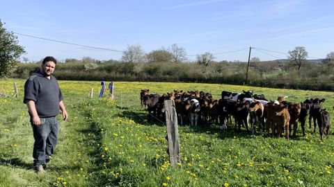 François Blot,en EARL à Pré-en-Pail (Mayenne), possède
180 vaches, à 5 500 litres de moyenne (80 normandes, 60 kiwis et 40 holsteins) :
100 % de ses 107 ha de SAU sont de l'herbe, dont 75 ha accessibles.