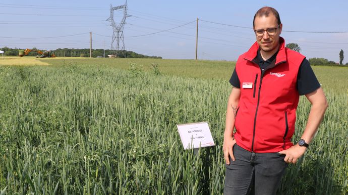 « Le mélange blé-pois permet de produire autour de 100 q/ha, 60 q/ha de blé et 40 q/ha de pois, que nous trions dans nos silos », expliquait Clément Deleye, directeur commercial de Vaesken lors de la viste d'essais du négoce à Millam (Nord), jeudi 8 juin.