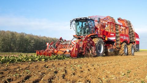Dans l’Hexagone, les entreprises de travaux agricoles récoltent 80 % de la production betteravière. Dans l’Hexagone, les entreprises de travaux agricoles récoltent 80 % de la production betteravière.
