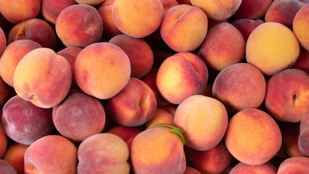 La production nationale de pêches, nectarines, brugnons et pavies atteindrait les 228 700 tonnes pour la campagne 2023.