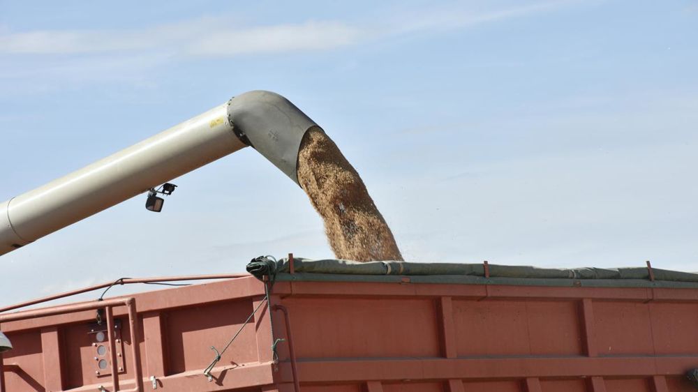 Les exportations de céréales diminuent de 37 % sur un an.