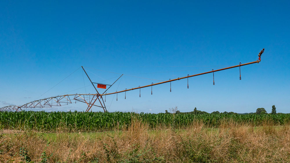 Après un hiver sans précipitations notables, les orages depuis mai amenuisent la sécheresse des sols dans plusieurs régions.