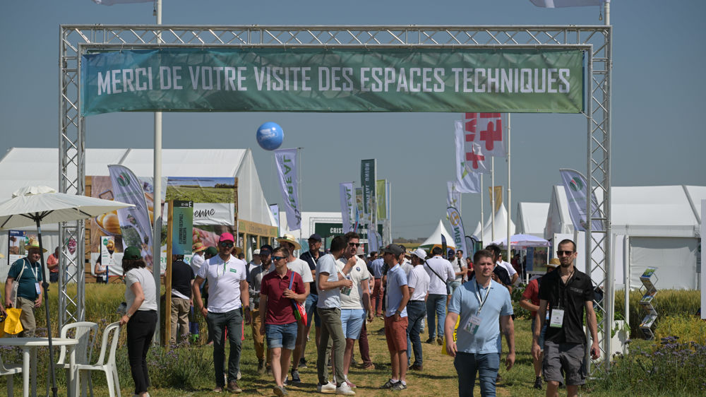 Culturales : 15 000 visiteurs au rendez-vous