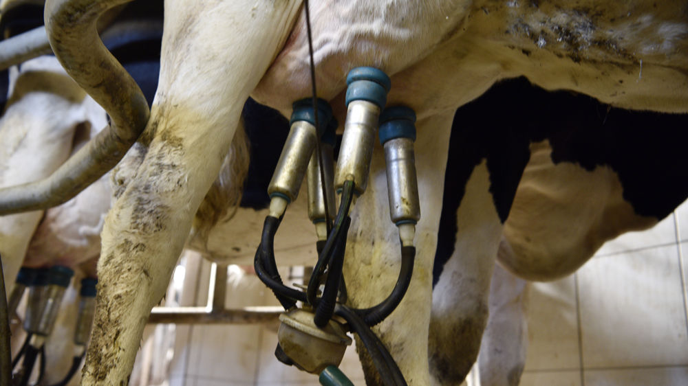 La croissance de la collecte laitière dans le monde « est essentiellement centrée sur l’Asie », selon Gérard You, de l'Idele.