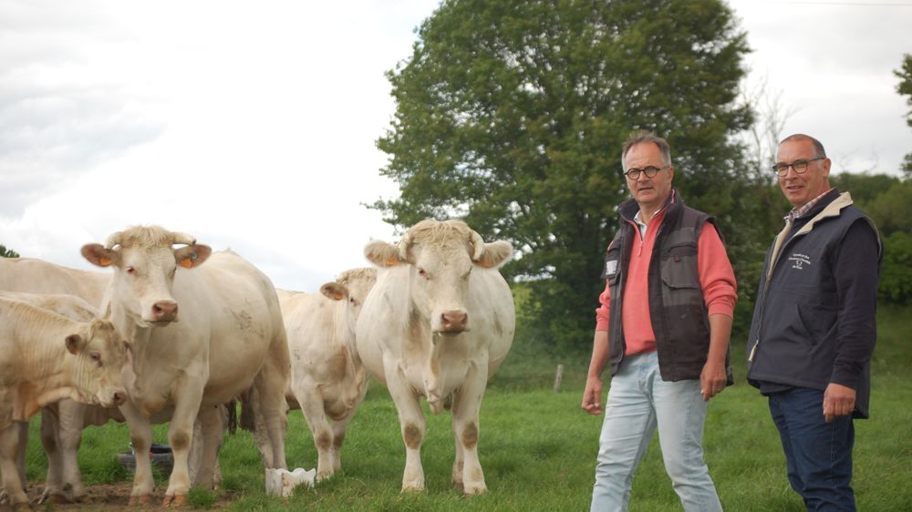 Sébastien Marc (à gauche) et son associé Franck Figeureu suivent de près les vêlages à 2 ans au Gaec Ferme de Rouville, dans l'Eure.