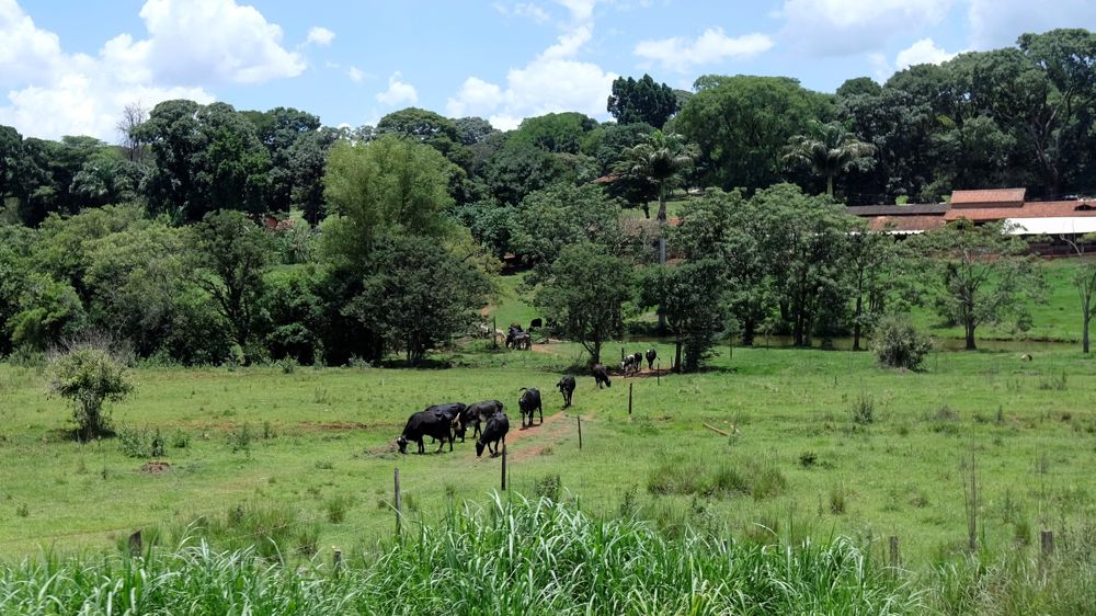 Les positions européennes et brésiliennes se sont rapprochées ces derniers mois.
