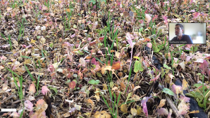 Les conclusions de l’Efsa sur les critères d'approbation du glyphosate devraient tomber le 4 juillet. C'est ce qu'a annoncé la Plateforme Glyphosate France lors de son webinaire, mardi 27 juin.