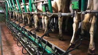 La coopérative Innoval anticipe une forte diminution de la production laitière à l’horizon 2035. La coopérative Innoval anticipe une forte diminution de la production laitière à l’horizon 2035.