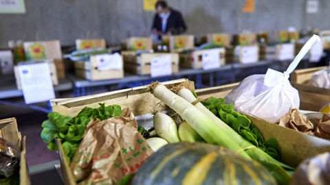 Chaque année, de nombreux agriculteus se lance dans la vente de leurs produits en circuits courts. Chaque année, de nombreux agriculteus se lance dans la vente de leurs produits en circuits courts.