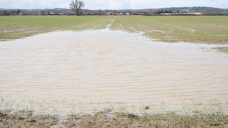 L’état de catastrophe naturelle est reconnu pour des inondations, coulées de boue et mouvements de terrain survenus entre 2021 et 2023 dans des communes de sept départements. L’état de catastrophe naturelle est reconnu pour des inondations, coulées de boue et mouvements de terrain survenus entre 2021 et 2023 dans des communes de sept départements.