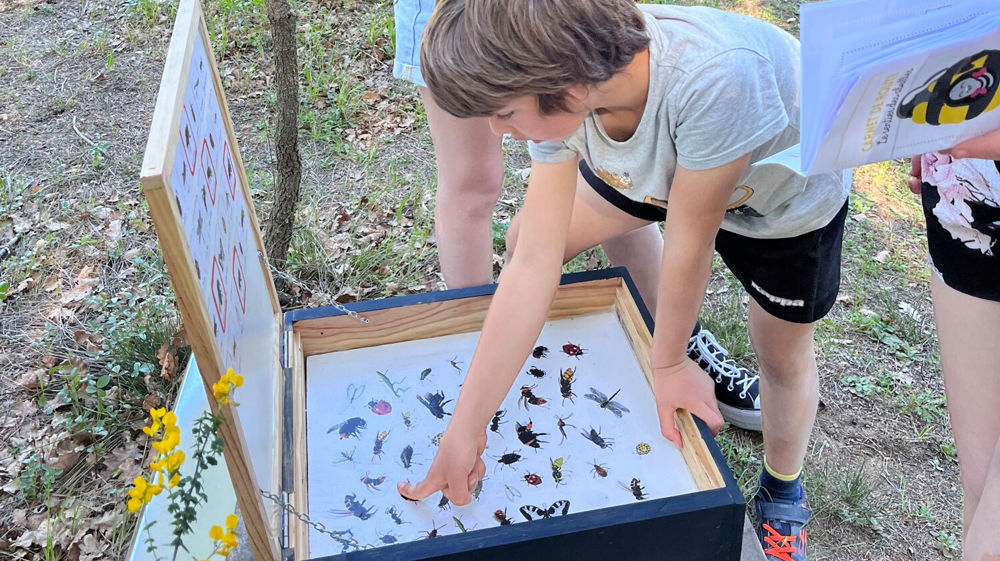 Le sentier suit un chemin banalisé de 1,5 km et se termine dans la nougaterie.