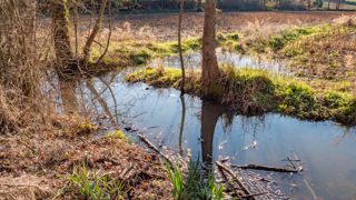 Chacun est tenu de recevoir sur son fonds les eaux qui proviennent des fonds supérieurs par écoulement naturel. Chacun est tenu de recevoir sur son fonds les eaux qui proviennent des fonds supérieurs par écoulement naturel.