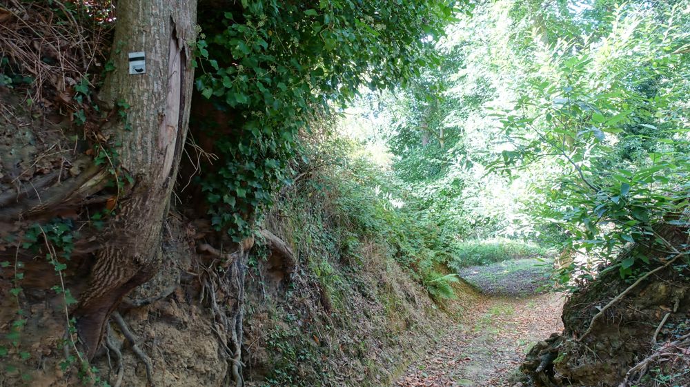 Les sentiers constituent l’un des principaux charmes du Tro Breizh, le tour de Bretagne en breton, qui se veut une alternative au célèbre GR 34.