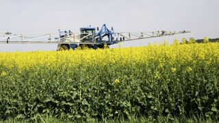 L'approbation de la dimoxystrobine ne sera pas renouvelée et prendra fin le 31 janvier 2024. L'approbation de la dimoxystrobine ne sera pas renouvelée et prendra fin le 31 janvier 2024.