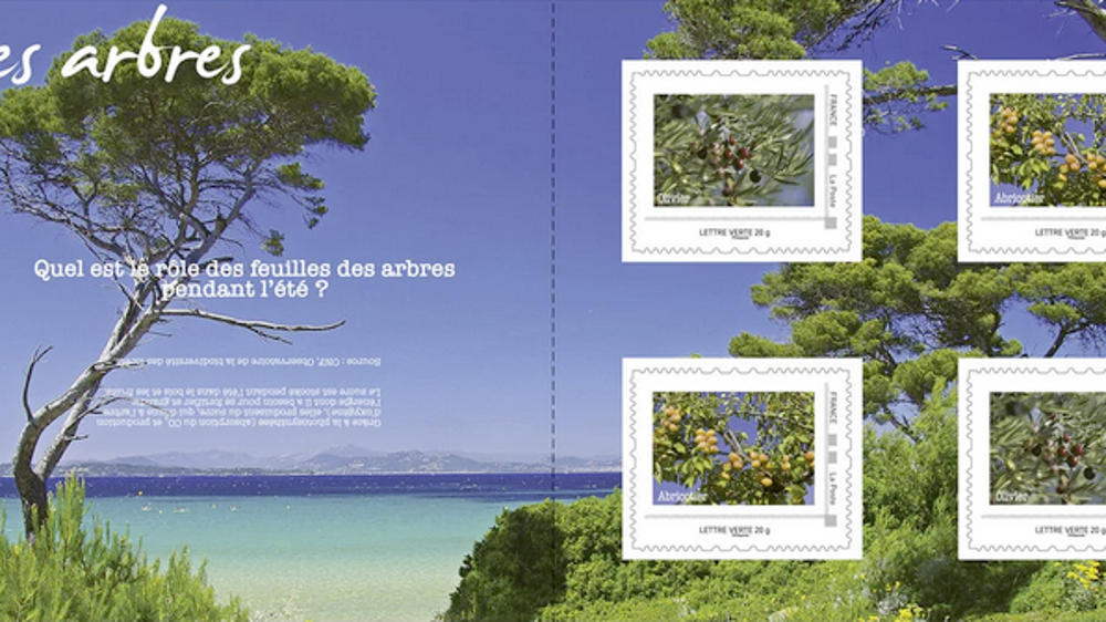 Le pin parasol, l’abricotier et l’olivier sont mis à l’honneur dans un collector exclusif été 2023. Le pin parasol, l’abricotier et l’olivier sont mis à l’honneur dans un collector exclusif été 2023.