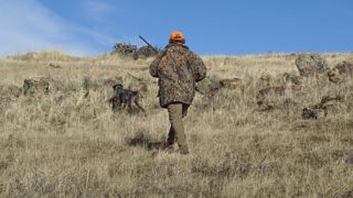 La Cour des comptes a mené une enquêtes sur les missions des fédérations de chasse et leurs financements. La Cour des comptes a mené une enquêtes sur les missions des fédérations de chasse et leurs financements.