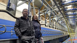 Stéphanie et Ludovic Thépaut ont mis en route une salle de traire de 2x26 postes en simple équipement en 2021 pour limiter leur temps de traite à 50 minutes seuls, nettoyage compris. Ce confort de travail profite à leurs cent vaches qui ne restent que 35 à 40 minutes debout. Stéphanie et Ludovic Thépaut ont mis en route une salle de traire de 2x26 postes en simple équipement en 2021 pour limiter leur temps de traite à 50 minutes seuls, nettoyage compris. Ce confort de travail profite à leurs cent vaches qui ne restent que 35 à 40 minutes debout.
