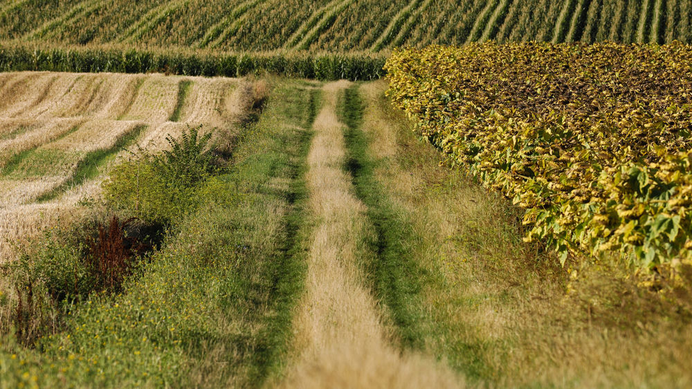 Le projet collectif « Du carbone au cœur des sols » mené par l'Apad, a obtenu le label bas carbone.