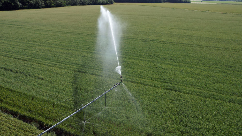 Parmi les recommandations de l'Académie des technologies, on retrouve notamment l'amélioration des techniques d’irrigation.
