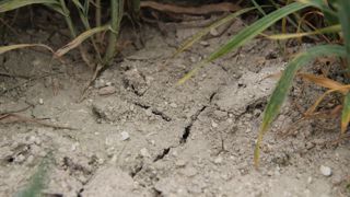 Des conditions plus sèches que la normale seront probablement observées en Chine, en Inde, en Asie du Sud-Est, ou encore en Australie.