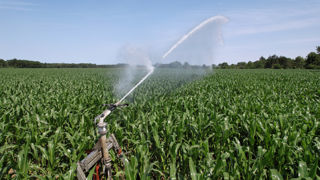 Les usages agricoles représentent 3 milliards de mètres cubes d'eau sur les 32 milliards de m³ prélevés chaque année en France.