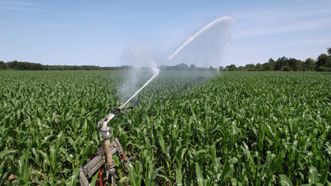 Les usages agricoles représentent 3 milliards de mètres cubes d'eau sur les 32 milliards de m³ prélevés chaque année en France.