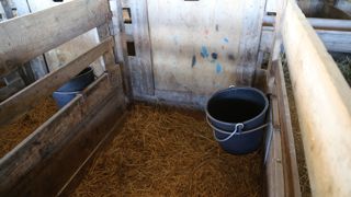 L'entrée dans les cases d'agnelage s'effectue facilement en soulevant la porte guillotine.