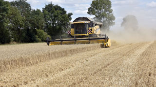 Les tensions en mer Noire et l'avancée des récoltes tirent les prix des céréales et oléagineux à la hausse.