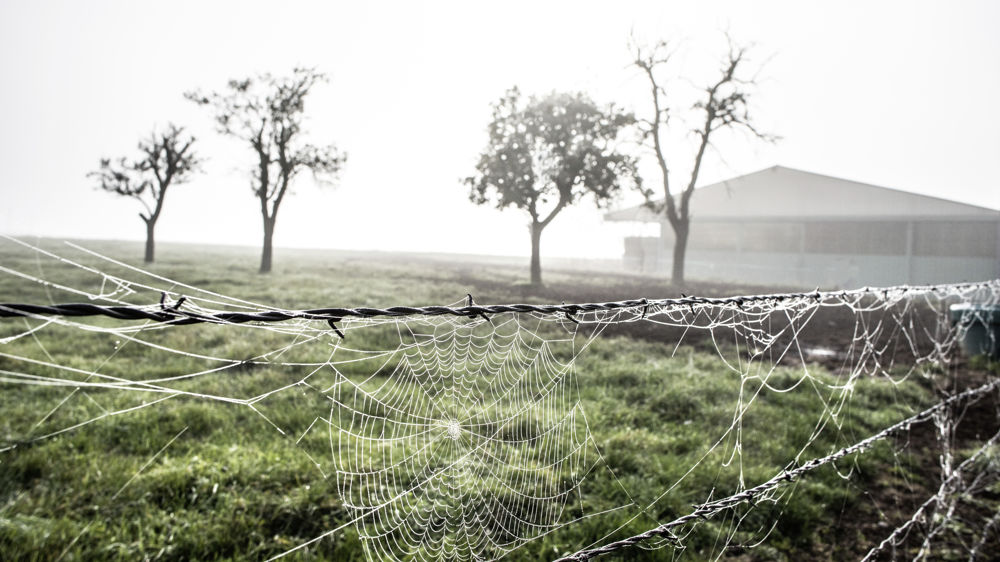 Pour l'année 2020, le risque de mortalité par suicide des assurés du régime agricole entre 15 et 64 ans est supérieur de 30,9 % à celui des assurés de tous les régimes sociaux. Pour l'année 2020, le risque de mortalité par suicide des assurés du régime agricole entre 15 et 64 ans est supérieur de 30,9 % à celui des assurés de tous les régimes sociaux.