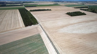 La Commission européenne souhaite attendre la fin des récoltes pour se positionner sur les dérogations jachères. La Commission européenne souhaite attendre la fin des récoltes pour se positionner sur les dérogations jachères.