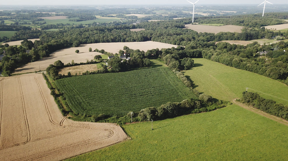 35,5 % des exploitations respectent le niveau supérieur de l'écorégime (HVE 3) sans changer leurs pratiques, selon un article publié par des chercheurs de l'Inrae.