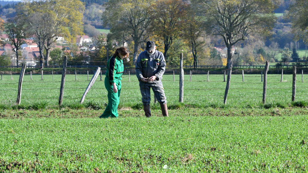 Un agriculteur qui ne respecte pas la définition de l'agriculteur actif n’est pas éligible aux aides Pac.