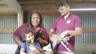 Johanna et Pablo Gollart Melia se sont installés en 2014 sur la ferme familiale Cabicoulx (Lot-et-Garonne) avec leur fille Ariana. Johanna et Pablo Gollart Melia se sont installés en 2014 sur la ferme familiale Cabicoulx (Lot-et-Garonne) avec leur fille Ariana.
