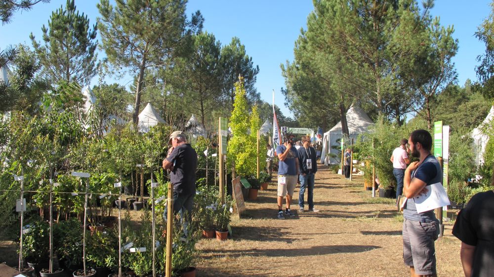 Reprogrammé à la demande des professionnels de la région, Salonvert Sud-Ouest se déroulera au domaine de Grenade, à Saint-Selve (33), à une trentaine de kilomètres au sud de Bordeaux les 20 et 21 septembre. Une édition de Territorium s'y déroulera dans le même temps.