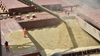 Si ses blés restent compétitifs, la France pourrait exporter 9,5 millions de tonnes vers les pays tiers sur la campagne de 2023-2024, selon Agritel. Si ses blés restent compétitifs, la France pourrait exporter 9,5 millions de tonnes vers les pays tiers sur la campagne de 2023-2024, selon Agritel.