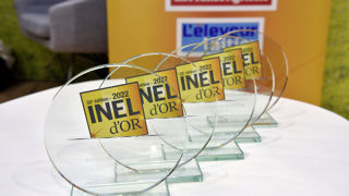 Les Inel d'or seront remis lors de la prochaine édition du Space.