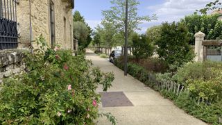 Comment les concepteurs choisissent-ils leurs gammes végétales ?