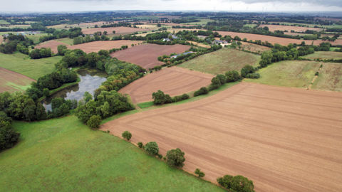 Les seuils d'agrandissements significatifs des exploitations sont fixés par les préfets de région.