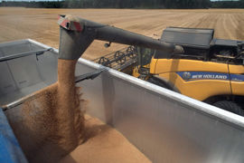 En juillet 2023, les prix à la production des produits agricoles continuent de reculer sur un an, note Agreste.