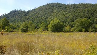 La Draaf Paca a recensé 90 000 hectares de parcelles en friches en 2020. La Draaf Paca a recensé 90 000 hectares de parcelles en friches en 2020.
