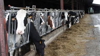 « Demander aux industriels d’aller renégocier avec la grande distribution et assurer ne pas vouloir toucher au prix du lait payé aux agriculteurs est contradictoire », selon Pascal Lebrun, président de La Coopération Laitière.