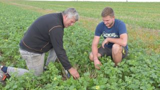Olivier, le père, et Gatien, le fils, participent au projet Agrognon et testent de nouvelles techniques pour la culture d’oignon : semis sans labour, désherbage robotique, biostimulants…