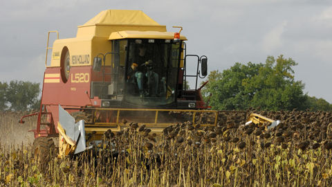 Les chantiers de récolte du tournesol pourraient s'étaler tard dans la saison dans le Nord et l'Est. Les chantiers de récolte du tournesol pourraient s'étaler tard dans la saison dans le Nord et l'Est.
