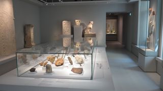 Au premier étage du musée du Gévaudan à Mende en Lozère, des collections sont réparties autour de quatre thèmes : l'eau, la terre, le végétal et l'animal.